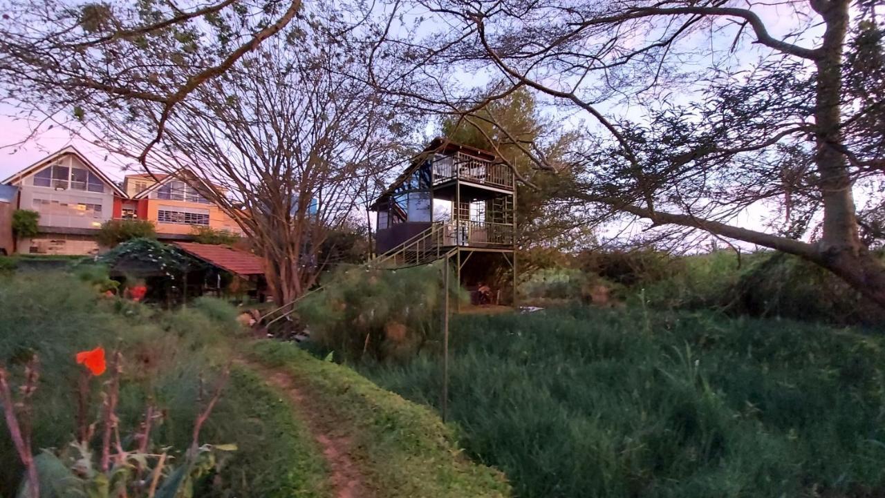 Yellow Haven Lodge คัมพาลา ภายนอก รูปภาพ