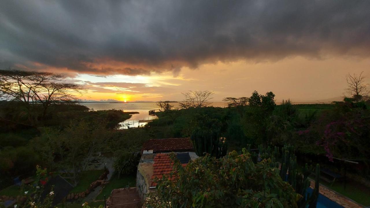Yellow Haven Lodge คัมพาลา ภายนอก รูปภาพ