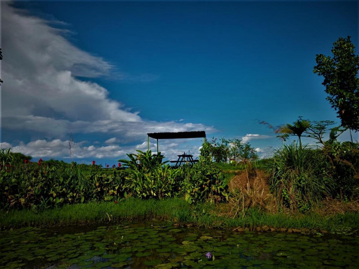 Yellow Haven Lodge คัมพาลา ภายนอก รูปภาพ