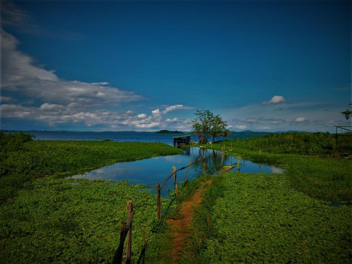 Yellow Haven Lodge คัมพาลา ภายนอก รูปภาพ