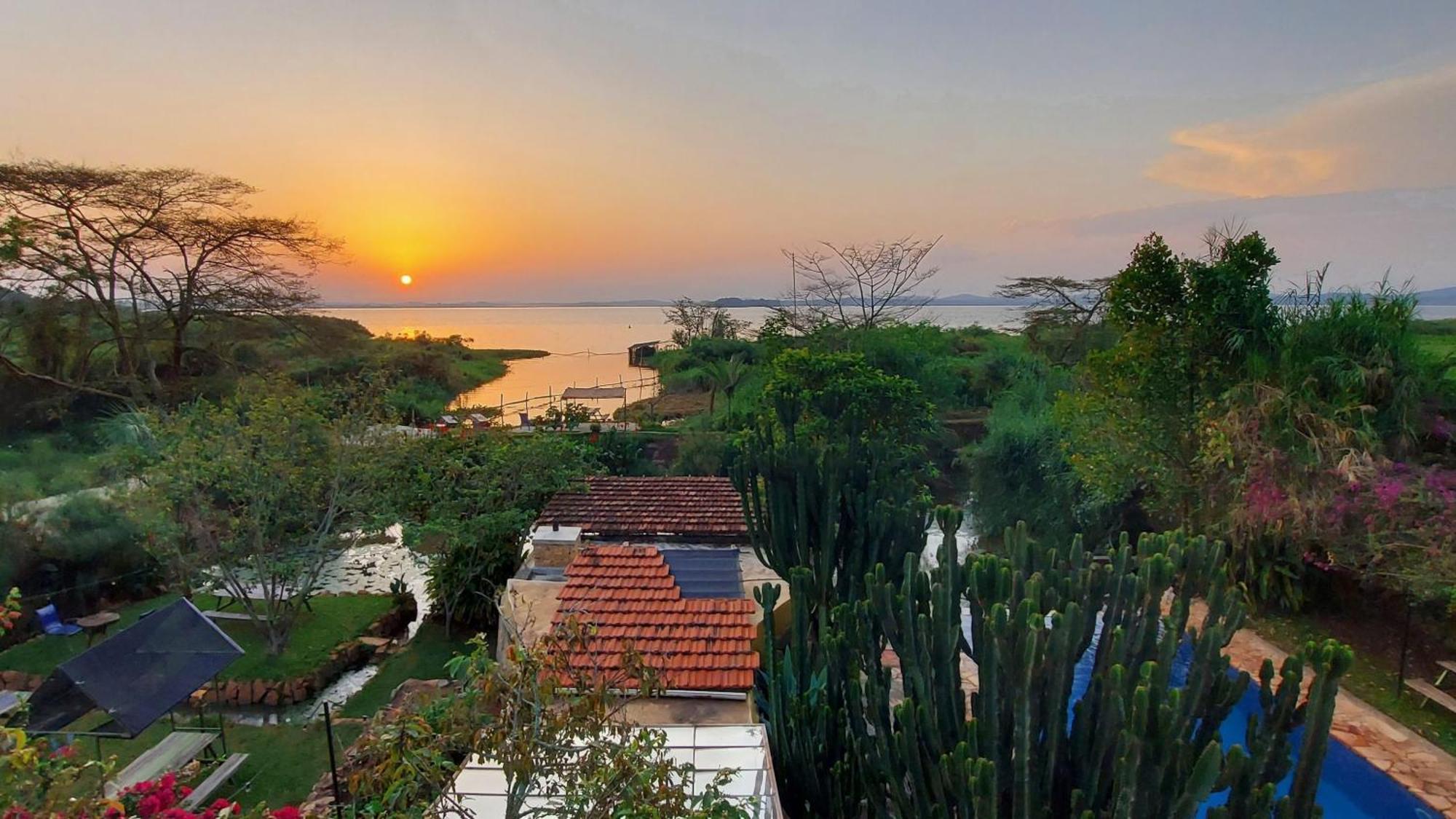 Yellow Haven Lodge คัมพาลา ภายนอก รูปภาพ