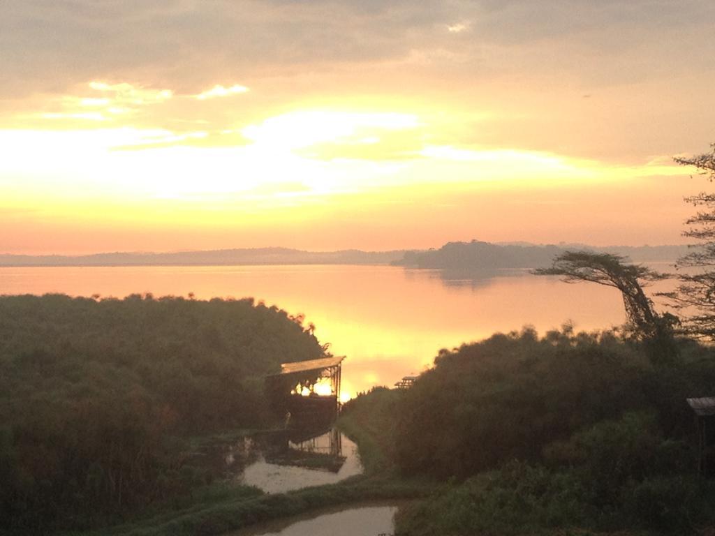 Yellow Haven Lodge คัมพาลา ภายนอก รูปภาพ