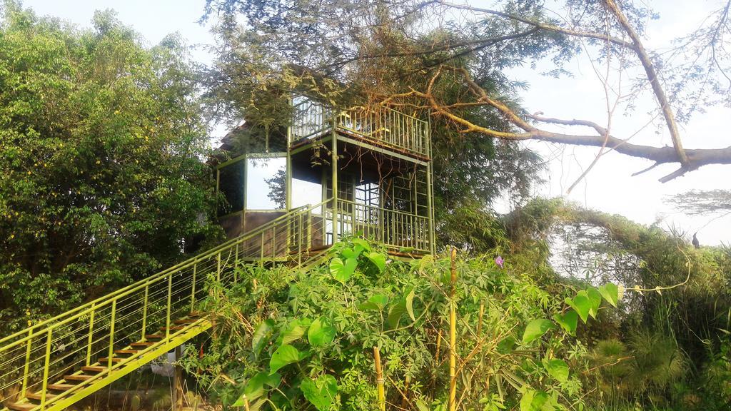 Yellow Haven Lodge คัมพาลา ภายนอก รูปภาพ