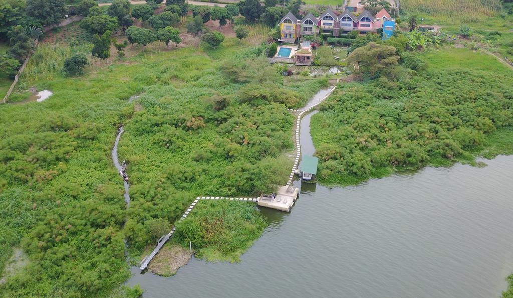 Yellow Haven Lodge คัมพาลา ภายนอก รูปภาพ